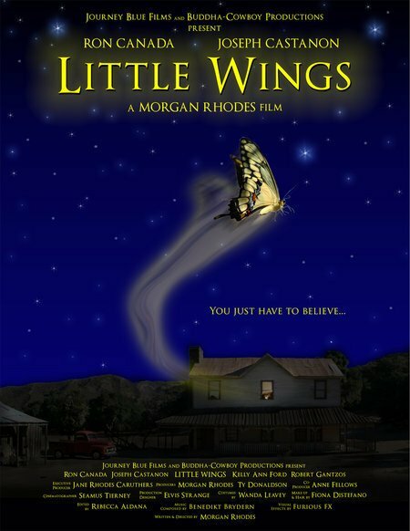 Маленькие крылья (2007)